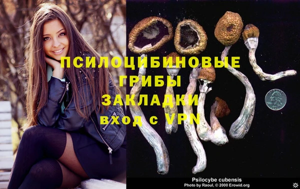 каннабис Сясьстрой