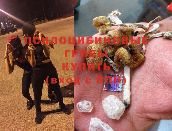 каннабис Сясьстрой
