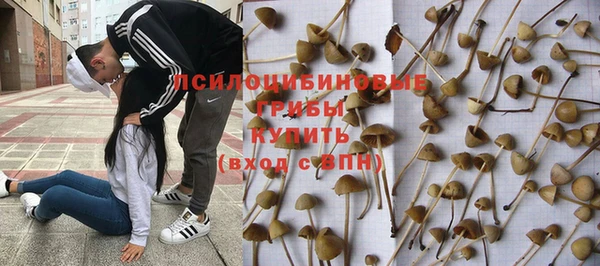 каннабис Сясьстрой