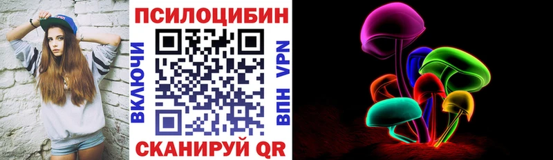 где купить наркоту  Чадан  Псилоцибиновые грибы мицелий 