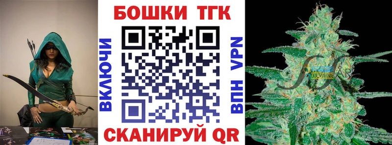 где купить   Чадан  Конопля сатива 